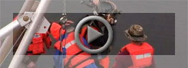 Commercial Diving Videos